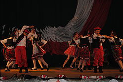 DSC_1902.JPG